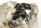 Cassiterite Crystal On Quartz - Viloco Mine, Bolivia #192161-1